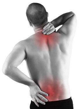 akcf reathletisation